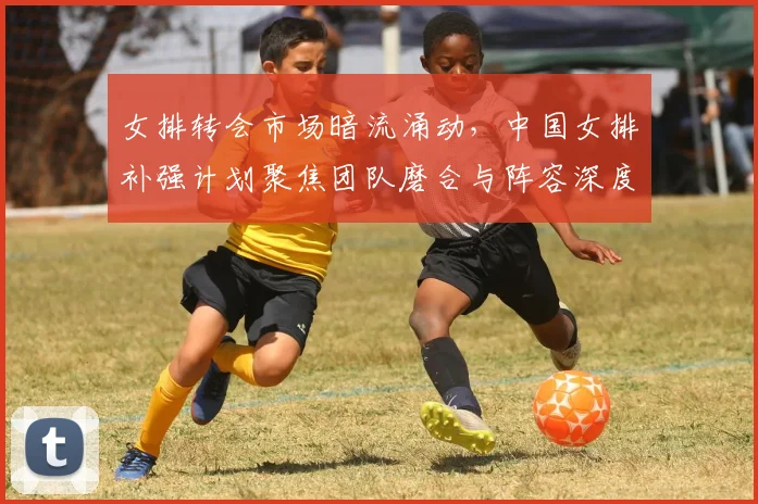 女排转会市场暗流涌动，中国女排补强计划聚焦团队磨合与阵容深度