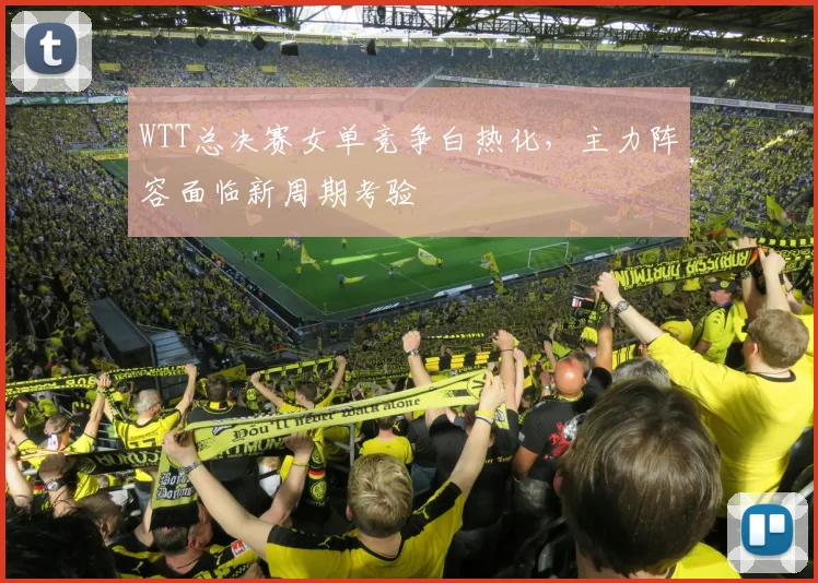 WTT总决赛女单竞争白热化，主力阵容面临新周期考验