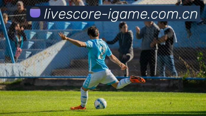 爱游戏未来规划
